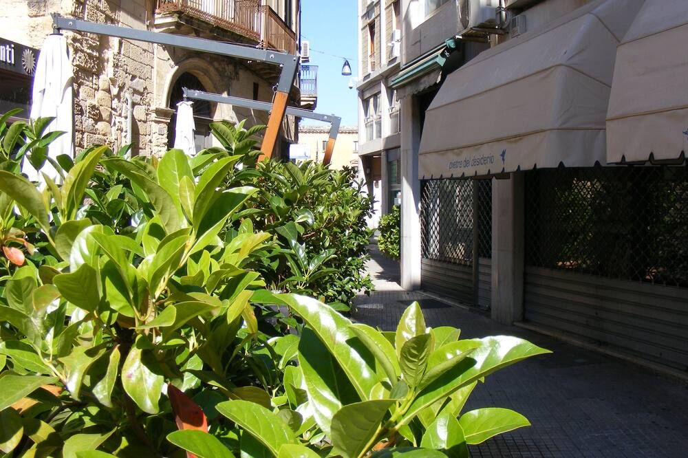 Outdoor view