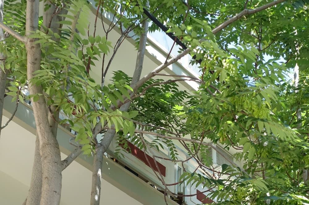 Outdoor view