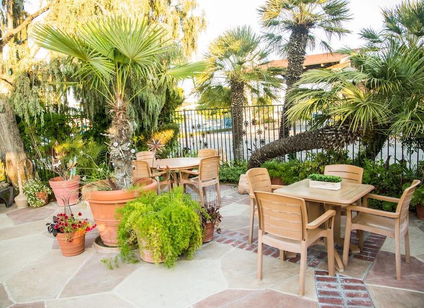 Patio Photo