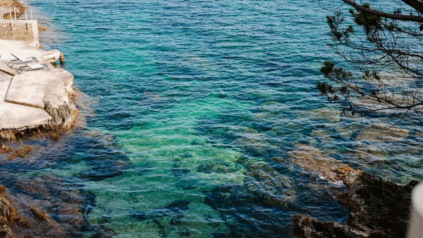 Hôtel Le Provençal - Rénové en 2025 - Bord de Mer