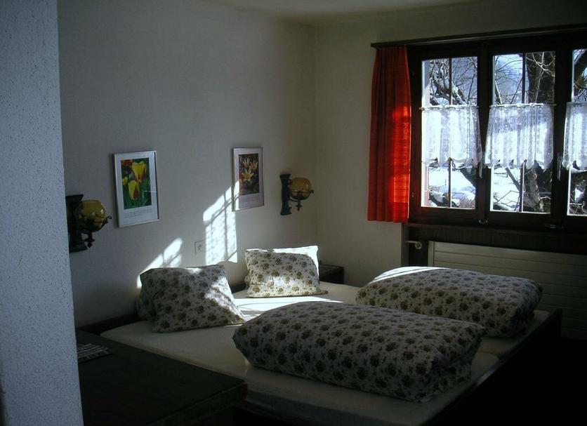 Other Photo
