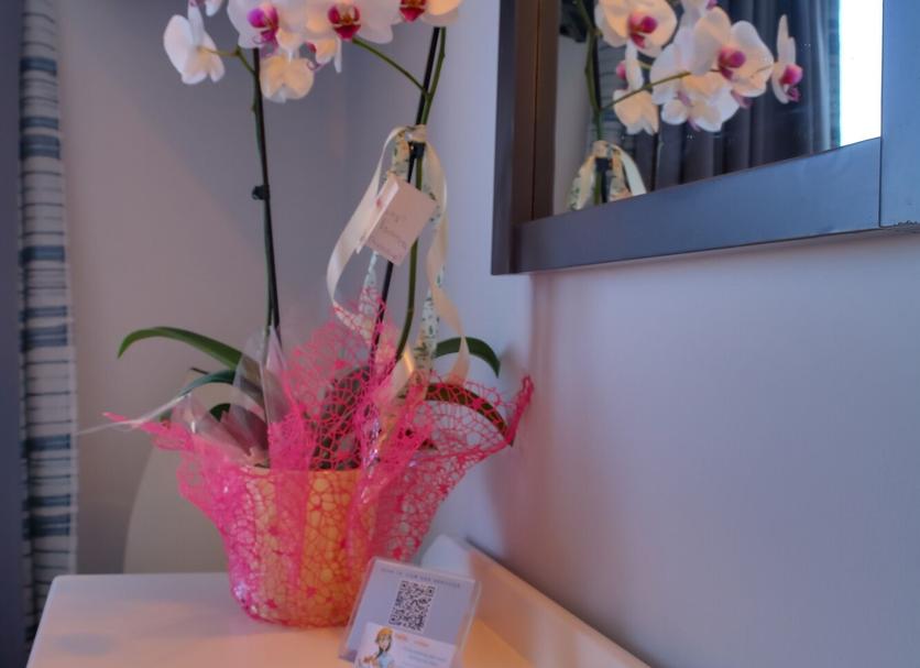 Room amenity Photo