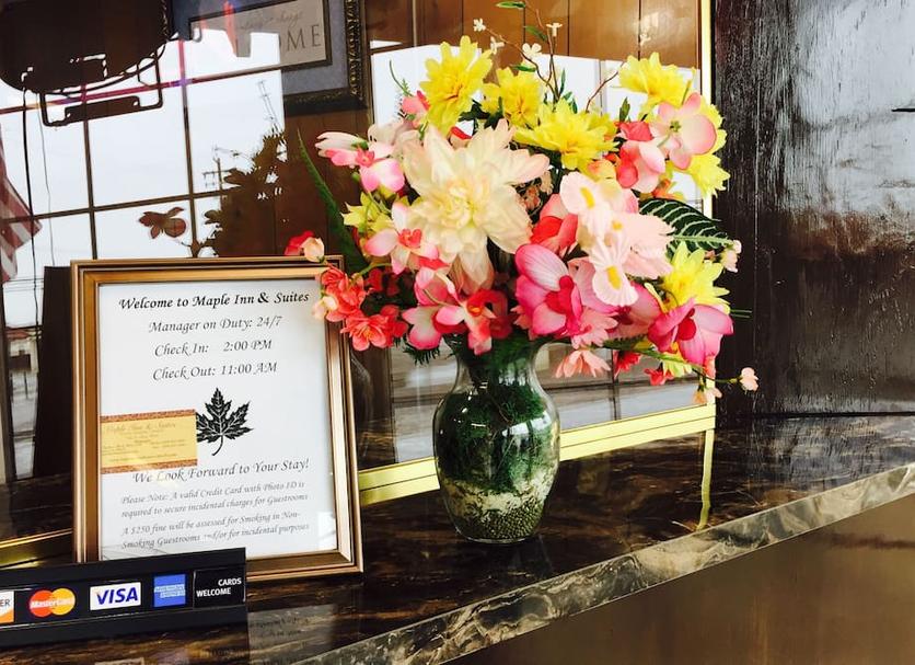 Room amenity Photo