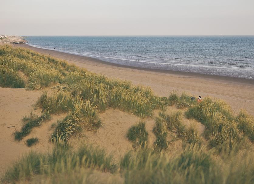 Beach Photo