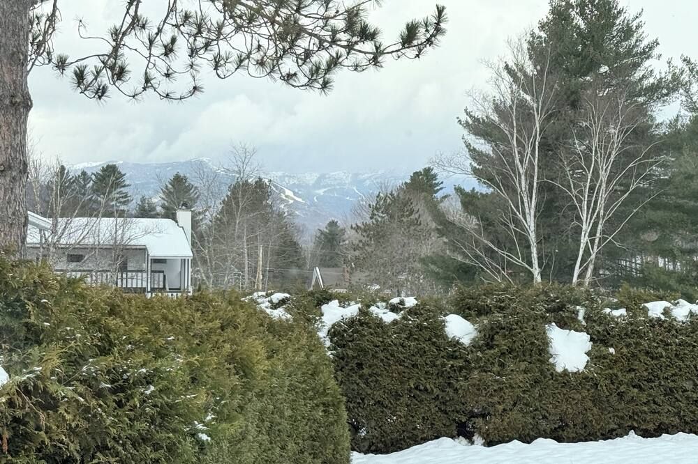 Outdoor view