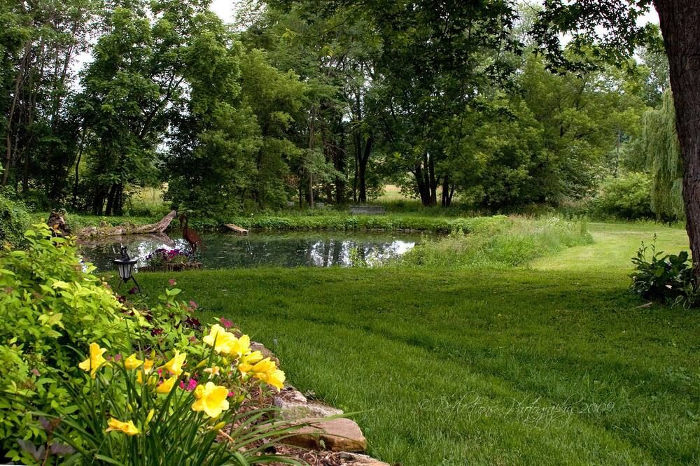 Outdoor view