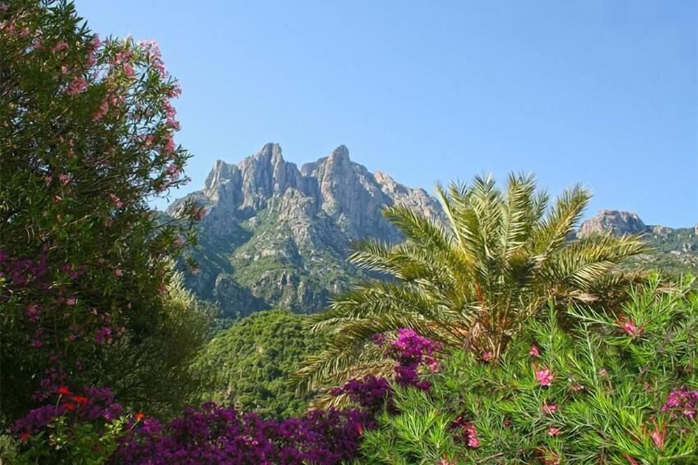 Outdoor view