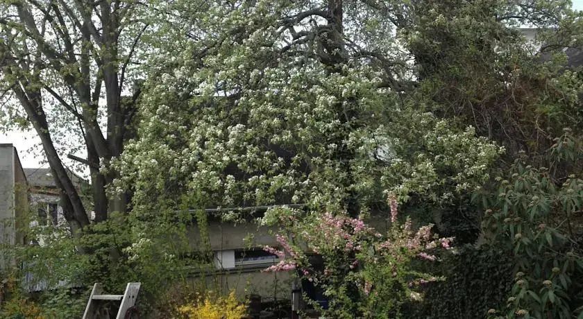 Outdoor view