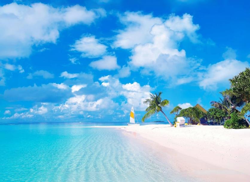 Beach Photo