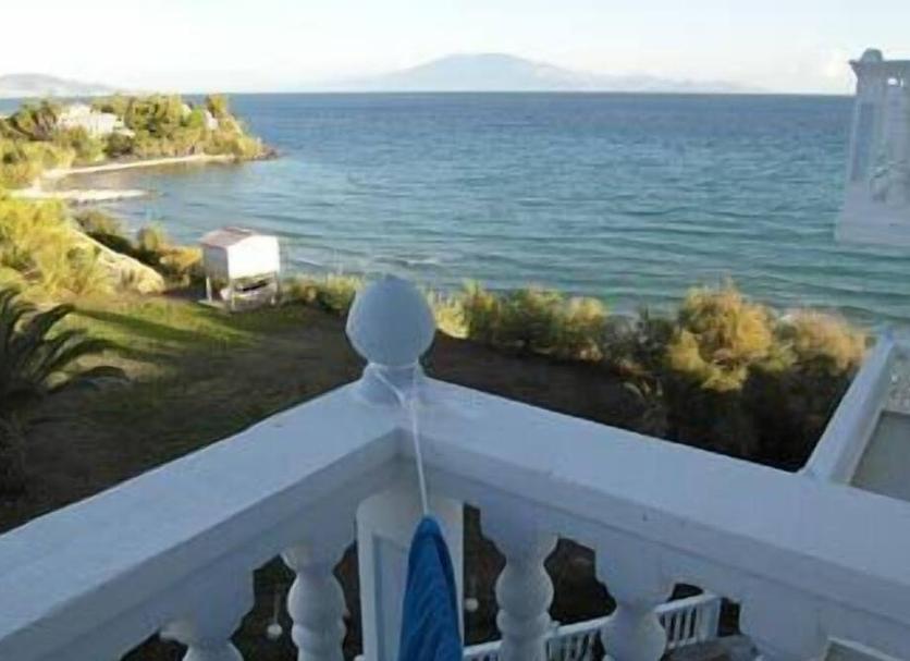 Other Photo