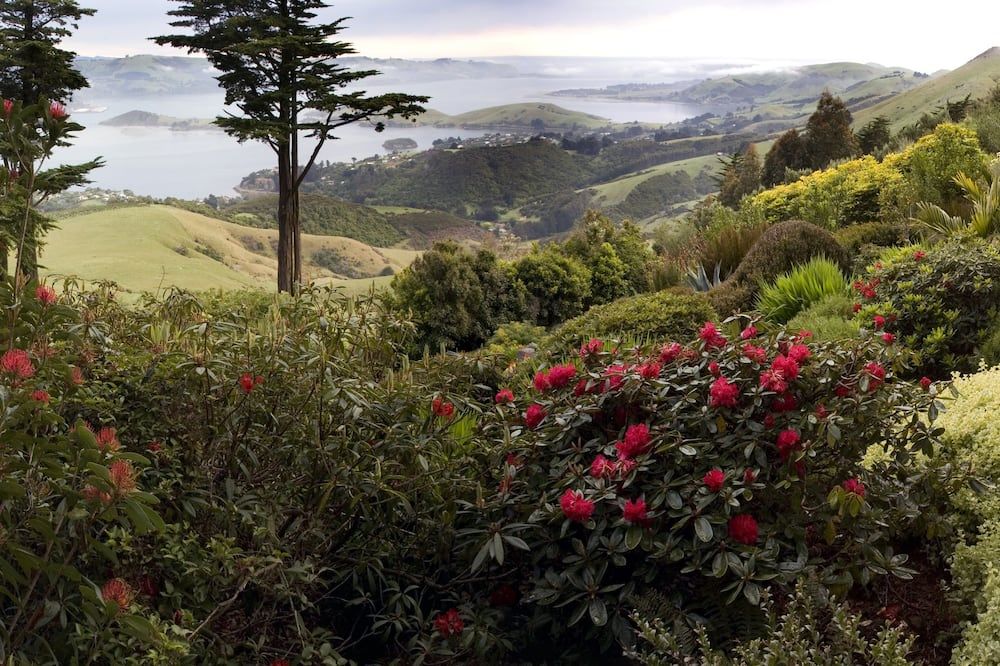 Outdoor view