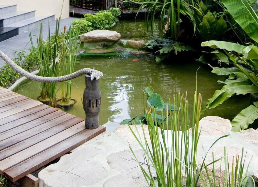 Outdoor view Photo