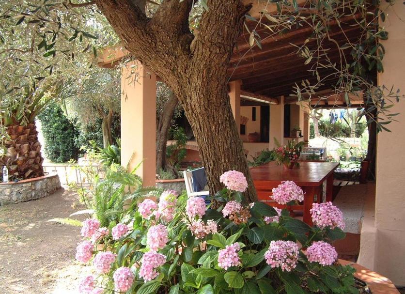 Patio Photo