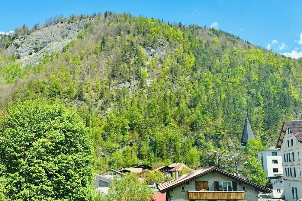 Outdoor view