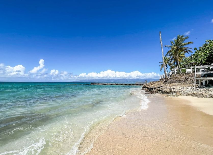Beach Photo