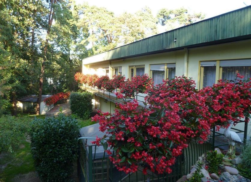 Other Photo
