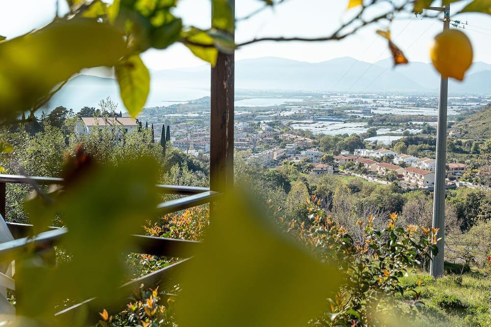 Outdoor view