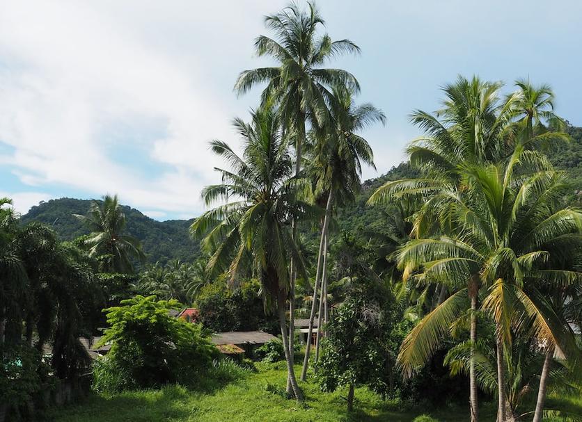 Outdoor view Photo