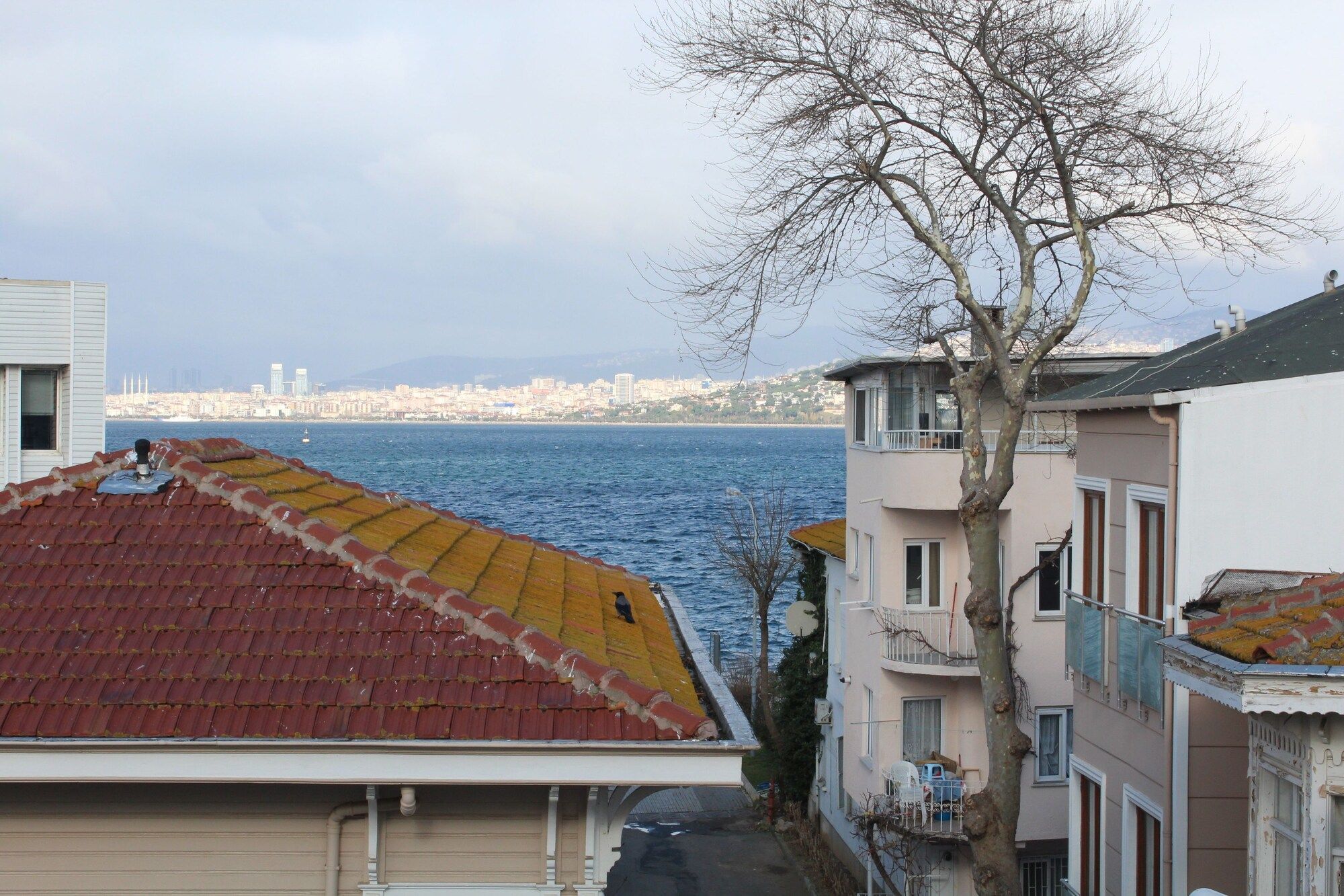 Outdoor view