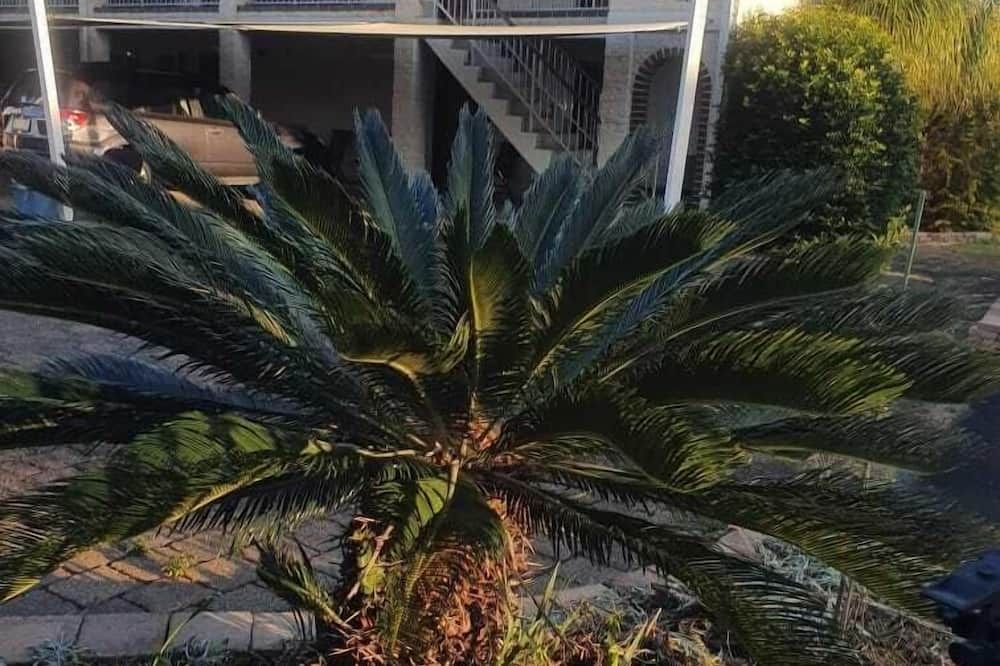 Outdoor view