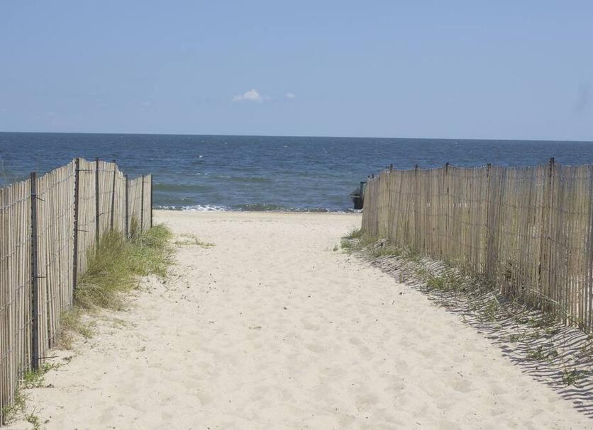 Beach Photo