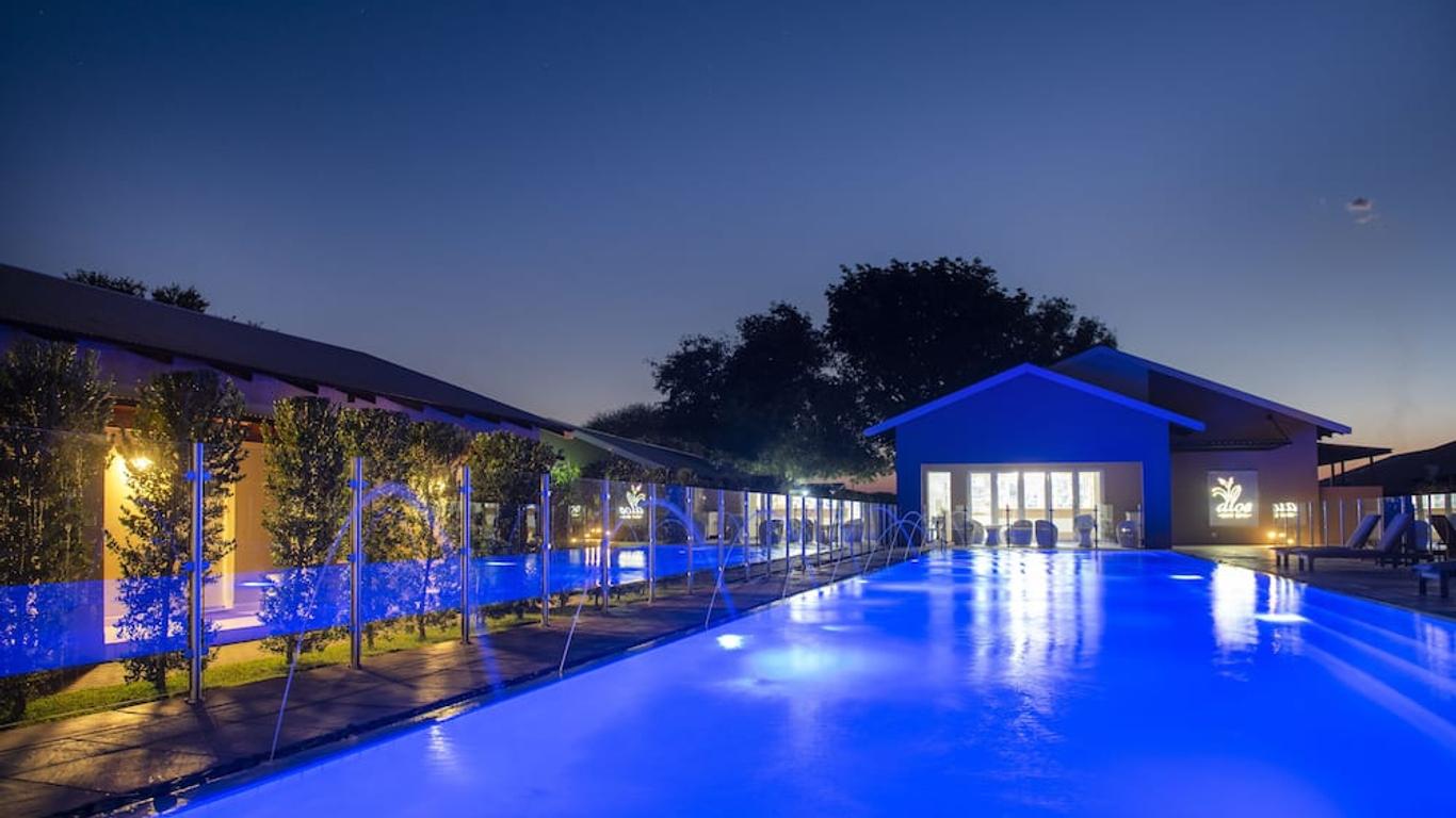 Palm Park Hotel