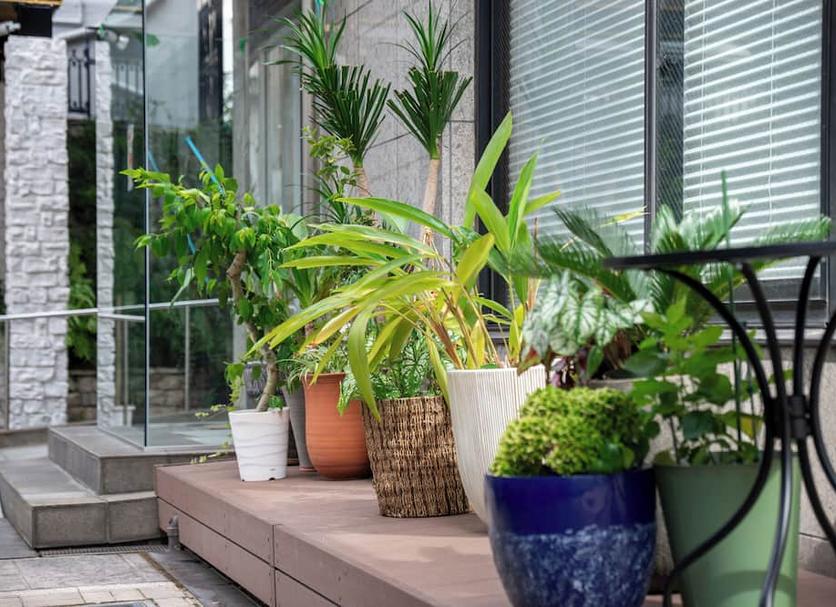 Outdoor view Photo
