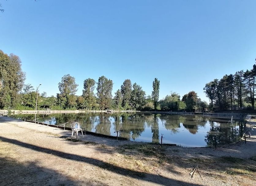 Other Photo