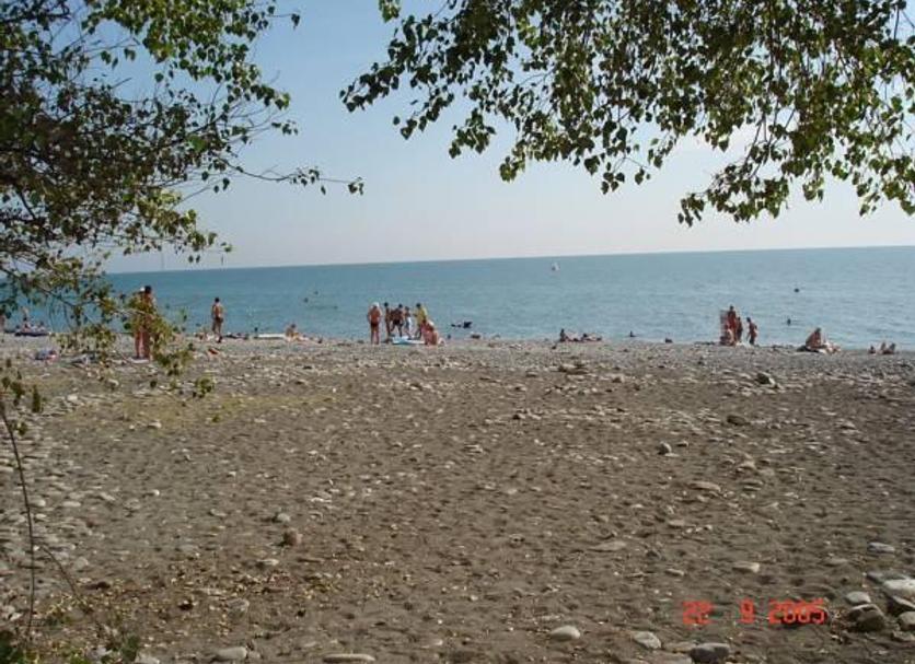 Beach Photo