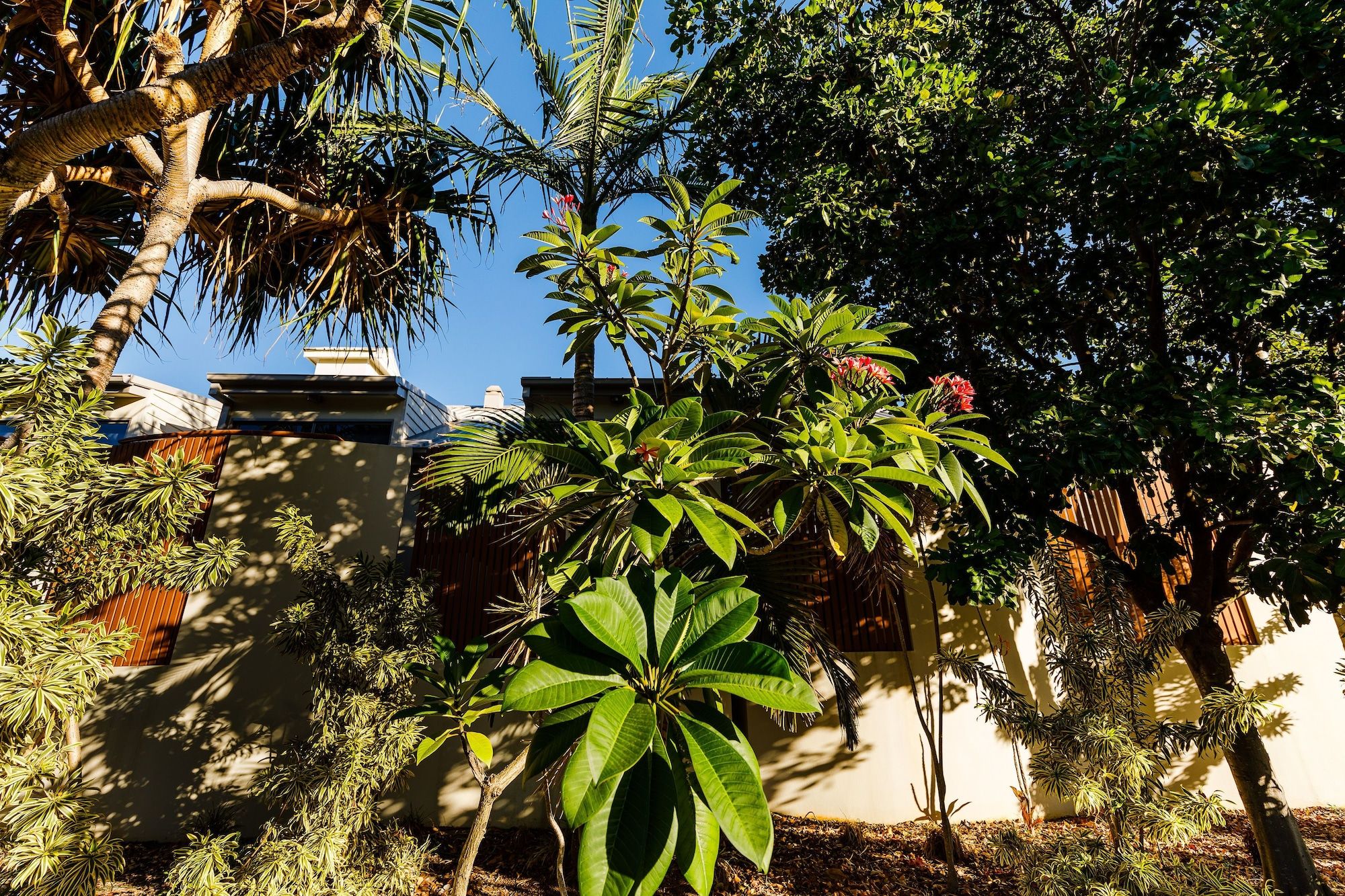 Outdoor view