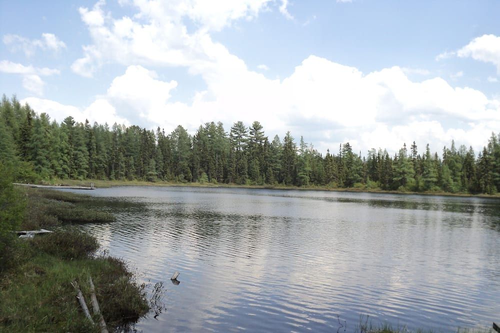Outdoor view
