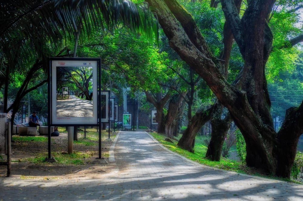 Outdoor view