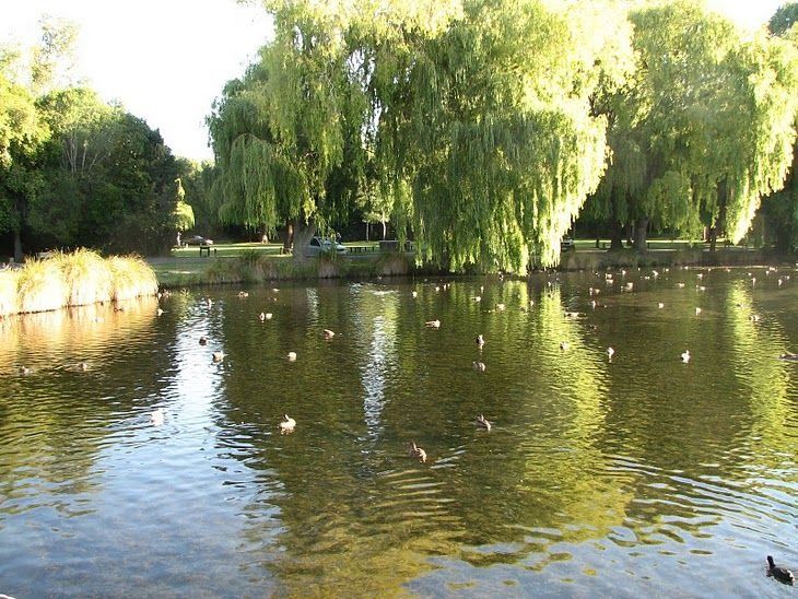 Outdoor view