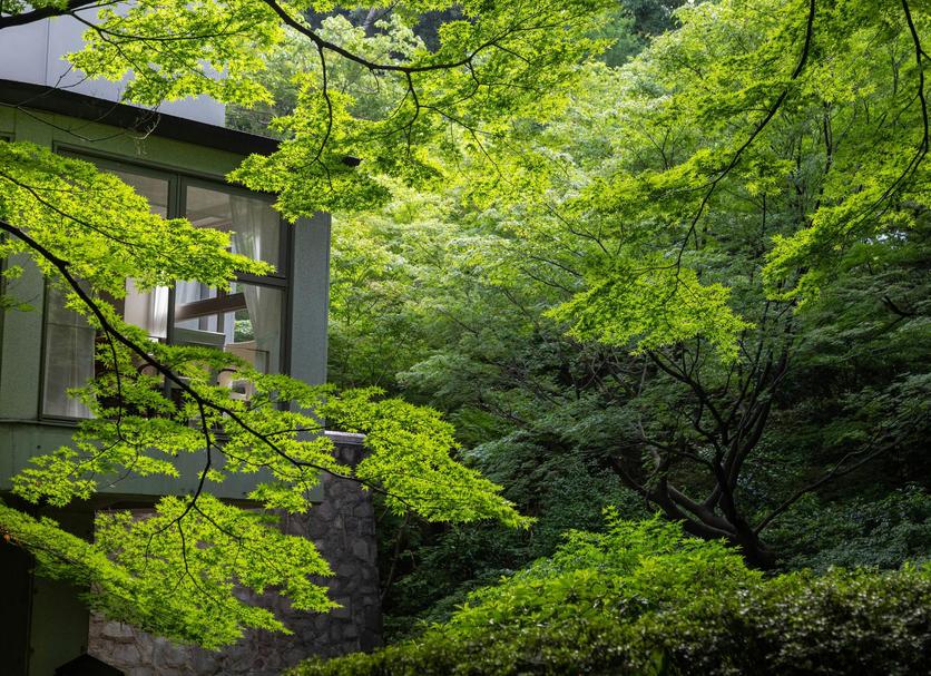 Outdoor view Photo