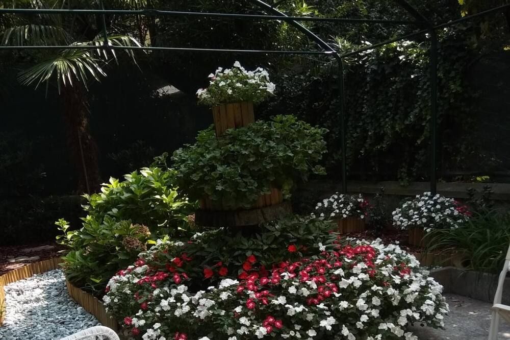 Outdoor view