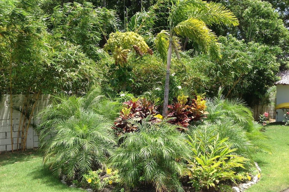 Outdoor view