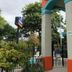 Outdoor view