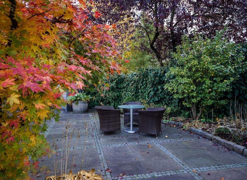 Patio Photo