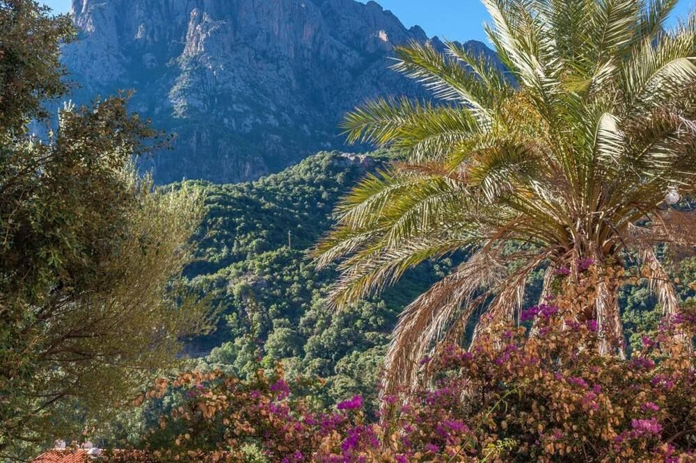 Outdoor view