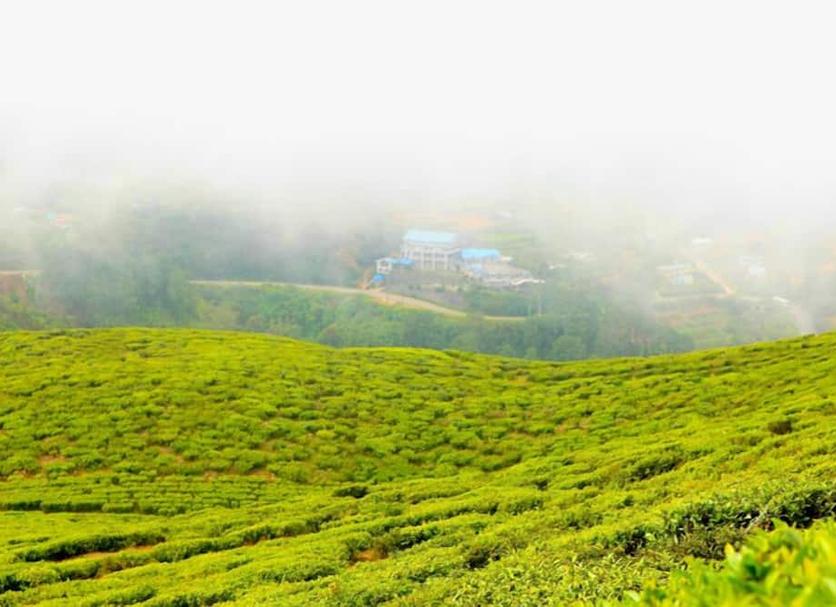 Outdoor view Photo