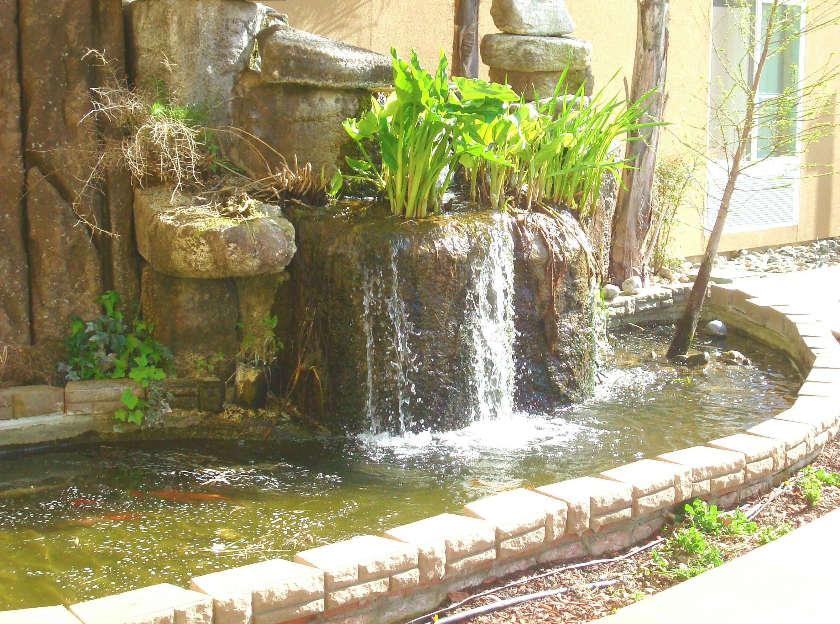 Outdoor view