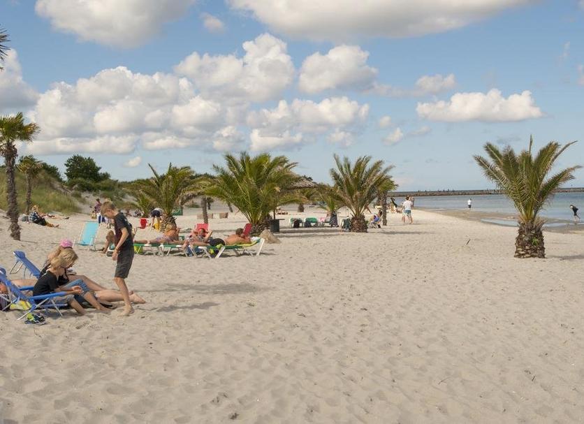Beach Photo