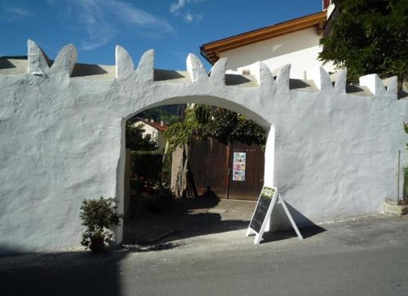 Other Photo