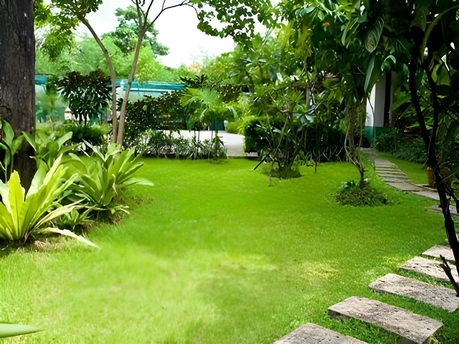 Outdoor view