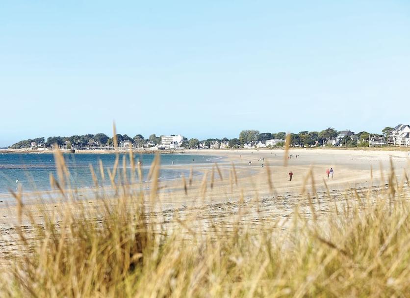 Beach Photo
