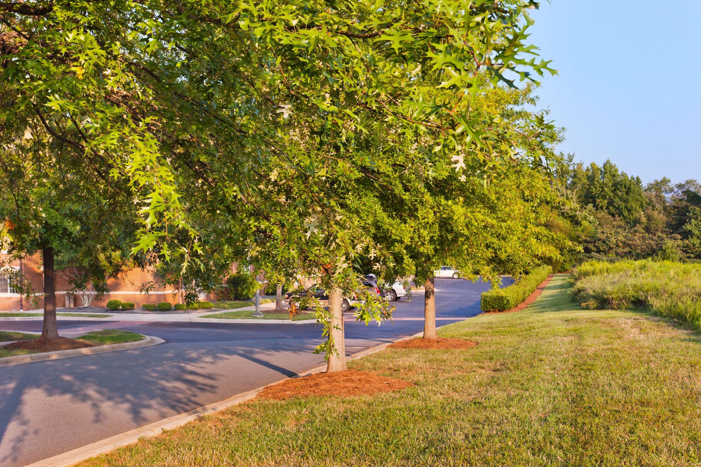Outdoor view