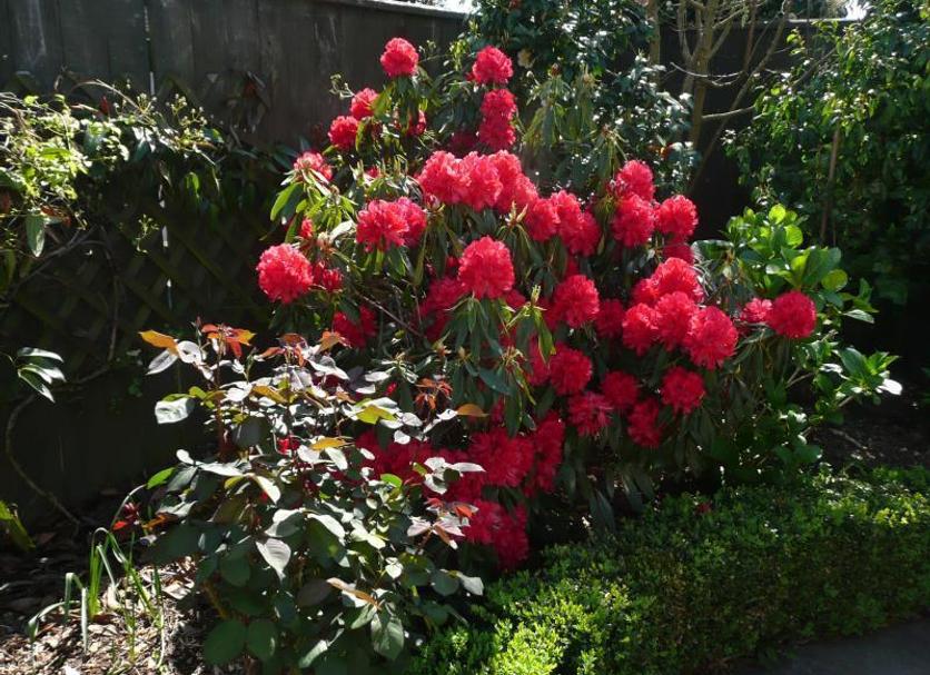 Outdoor view Photo