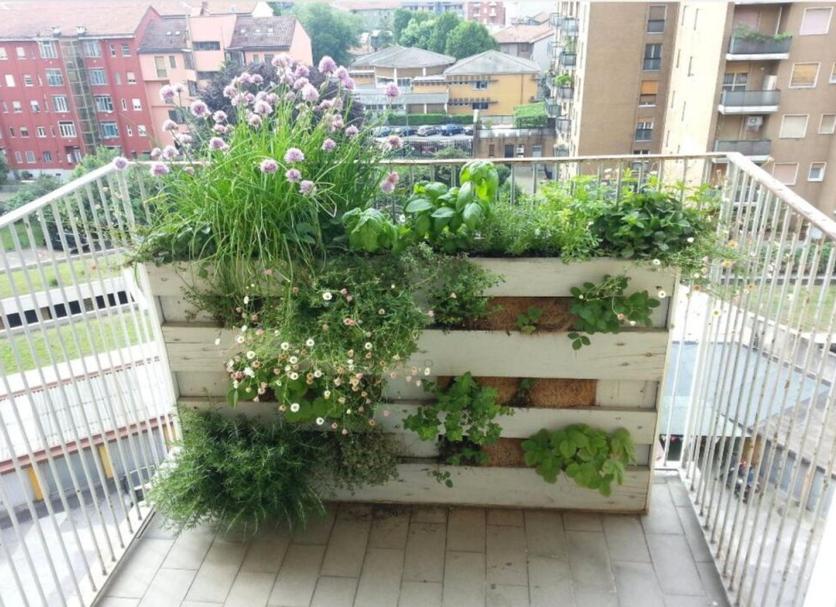 Balcony Photo