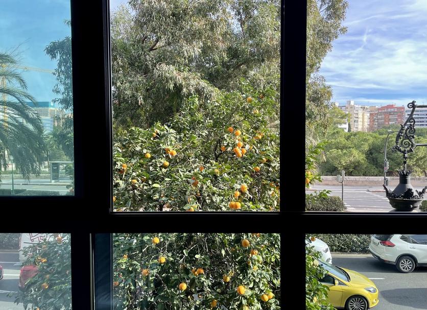 Balcony Photo