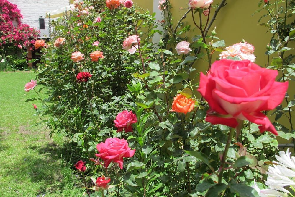Outdoor view